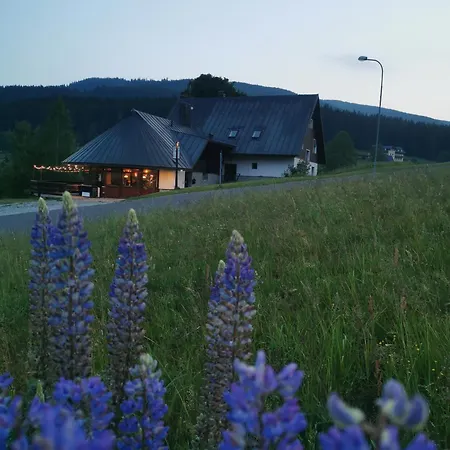 Utulna Craft - Veronika Guest house Pec pod Snezkou